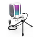 Мікрофон Fifine AmpliGame A6V White
